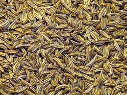 জিরা-Cumin